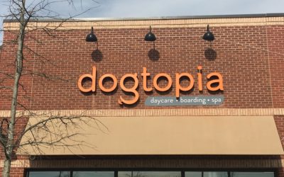 Dogtopia – Frederick, MD